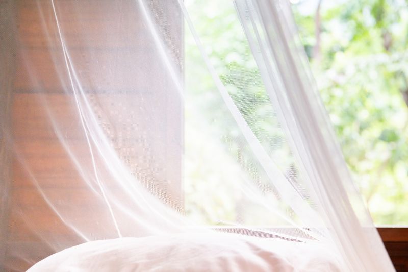 Seasonal Fly And Mosquito Activity And Prevention Strategies